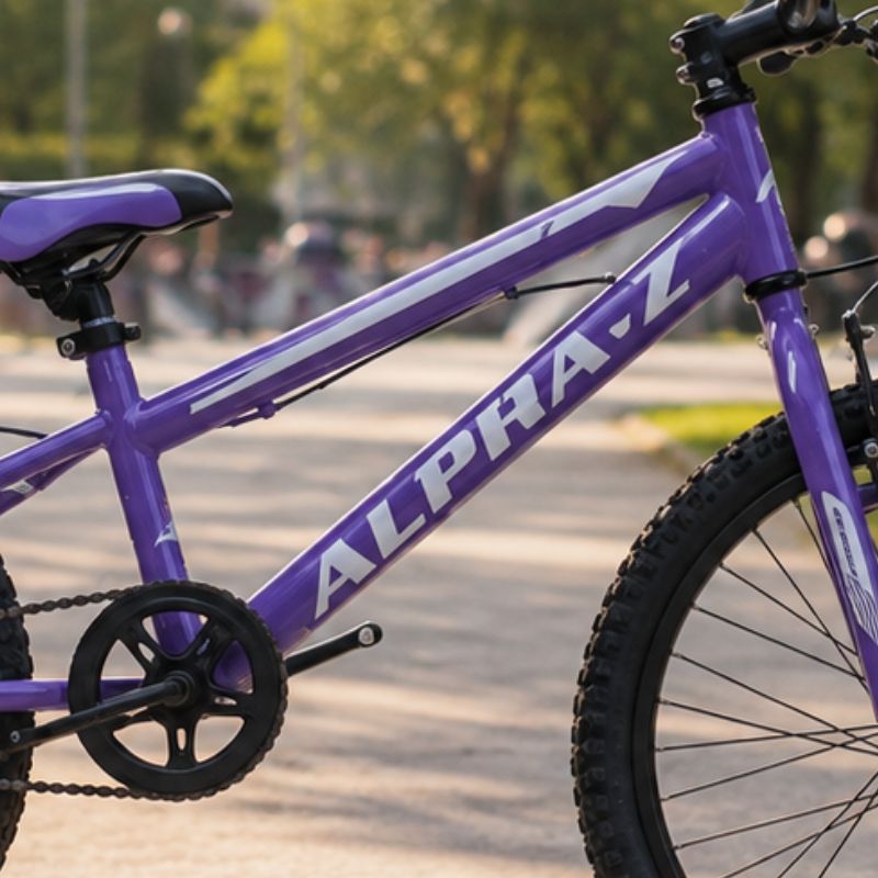 Alpha Z Bikes