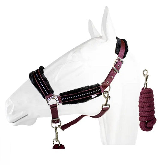 Halter equistyle stellar with lead