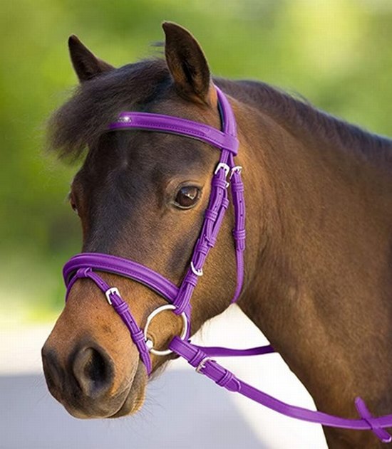 Bridle unicorn for shetland mini shetland horses shetland pony  lilac/night blue