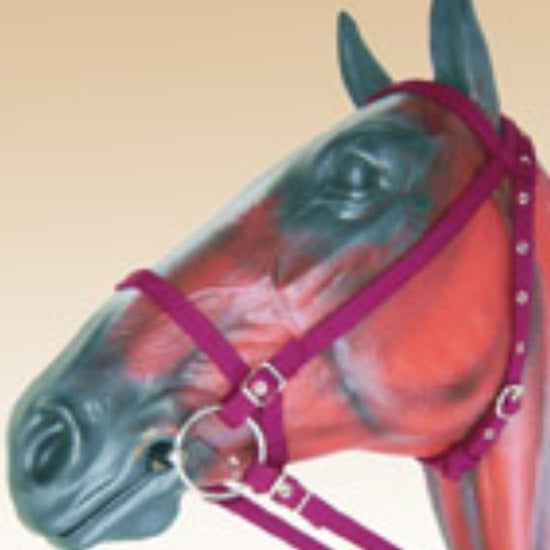 Single Webbing Bridle with Bit