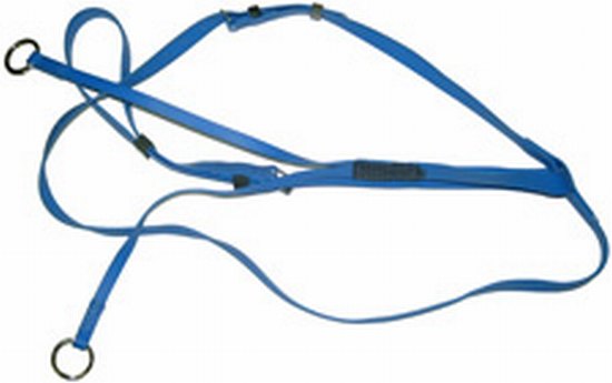 Wintec running martingale