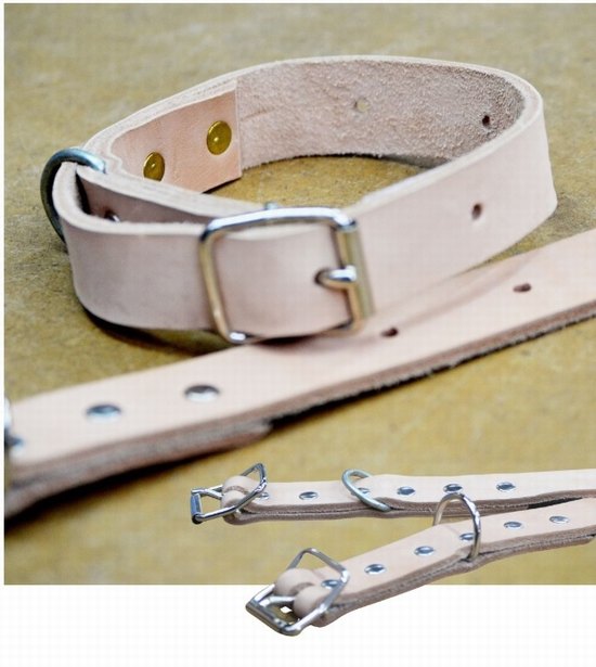 Dog collar 25mm home brand