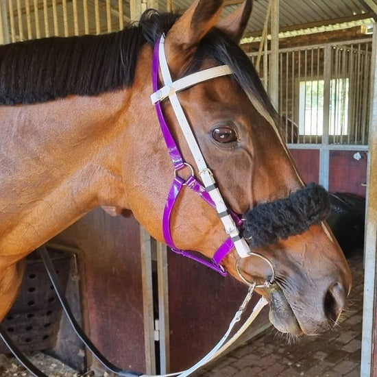 Clip round for endurance bridle reins