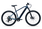 Avalanche MTE E-BIKE 29" SEA SPARKLE — full-size ERPLY original