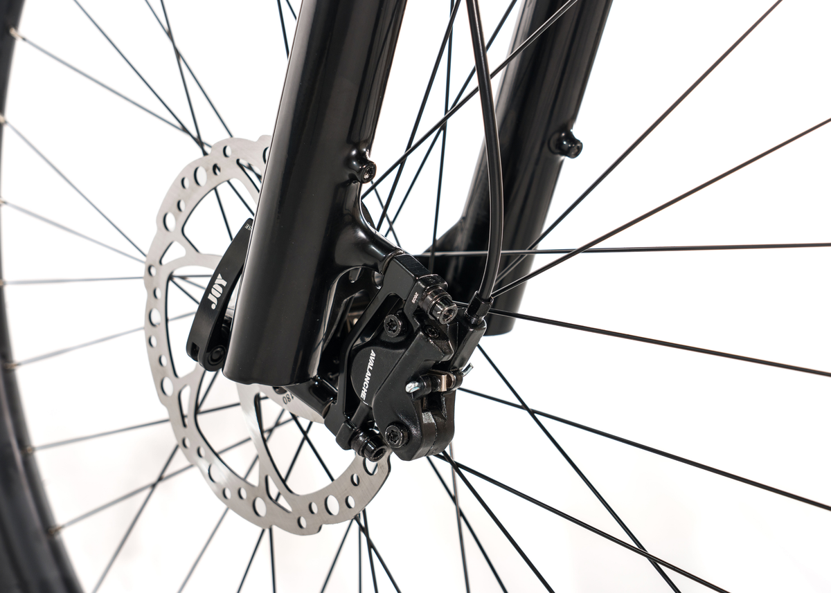 Avalanche MTE E-Bike White/Black/Blue — full-size ERPLY original