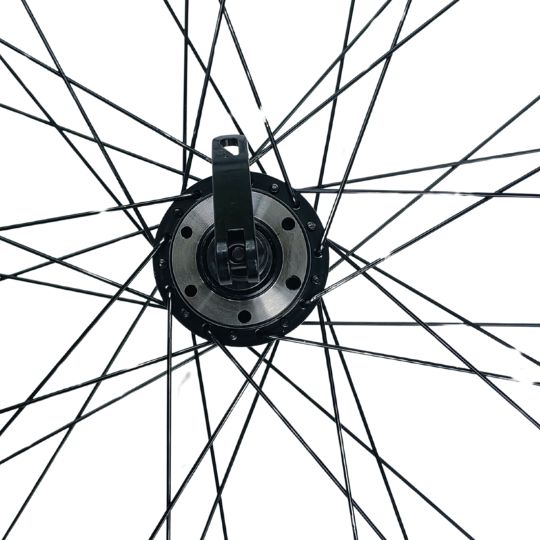 Wheel 29 inch front with disc brake hub