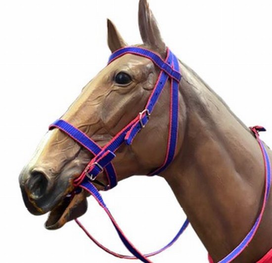 Bridle web dual colour