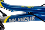 AVALANCHE FLASH 20" BOYS BLUE