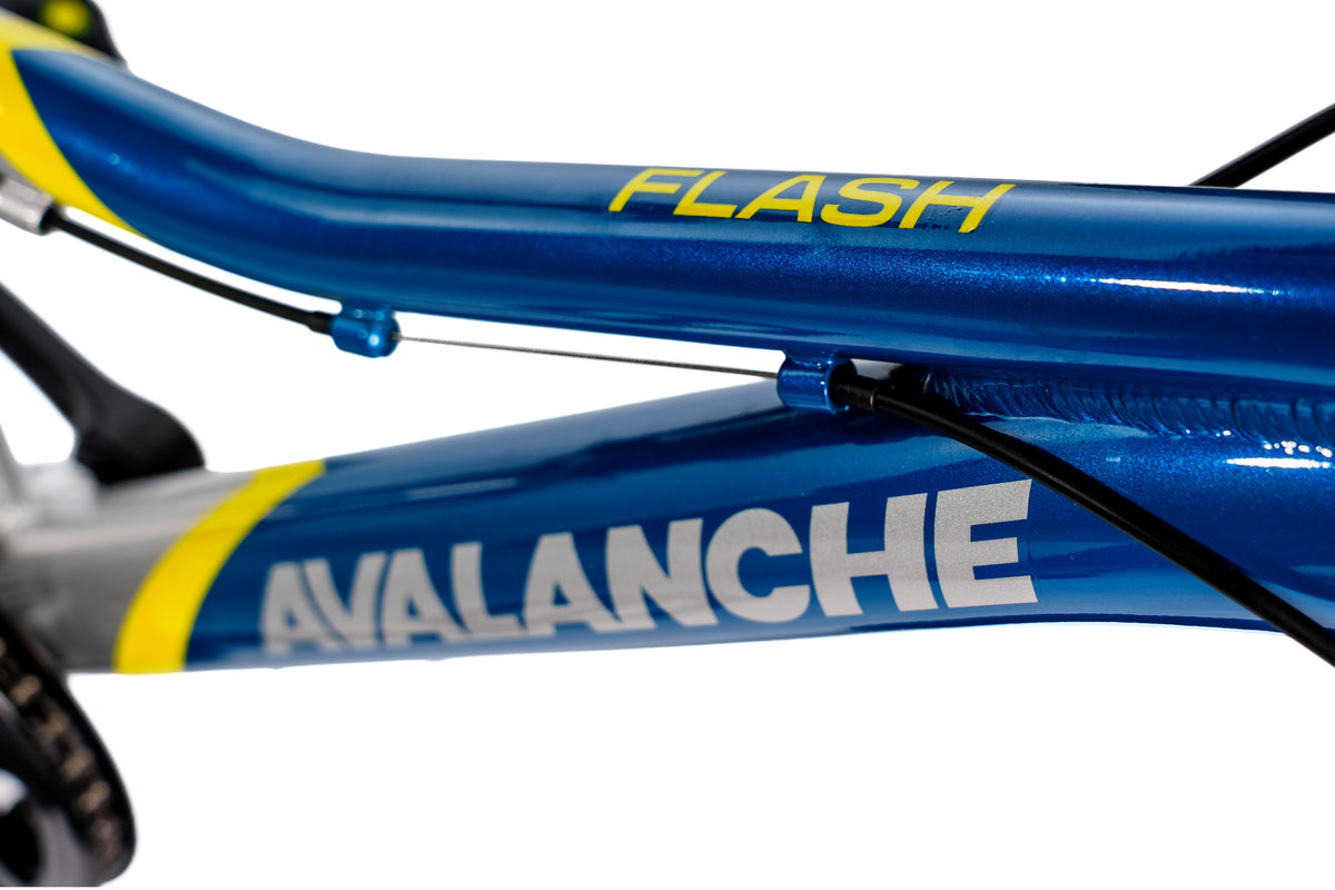 AVALANCHE FLASH 20" BOYS BLUE