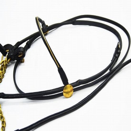 Bridle arab show black with brass chain and lead