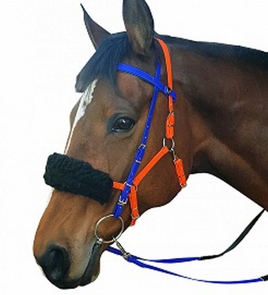 Bridle endurance halter combo american biothane easy clip