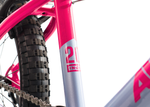 AVALANCHE ANTIX 20" GIRLS SILVER/PINK. Size: 20".