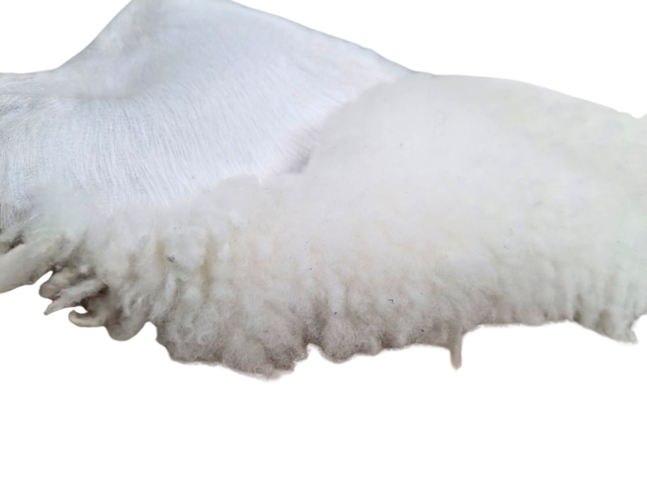 Sheepskin 20 - 25mm long wool good for decor