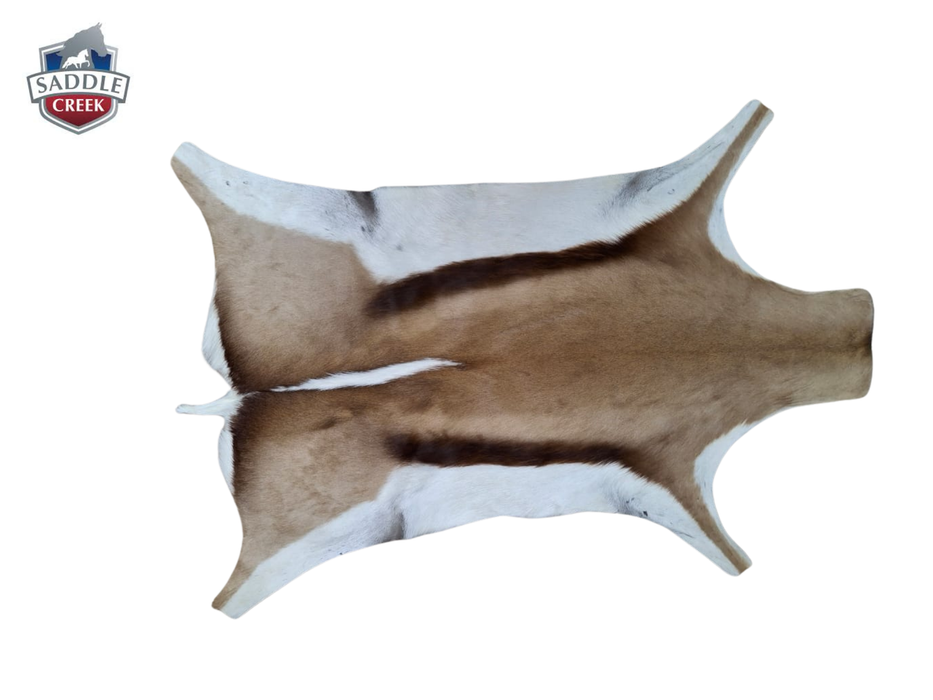 Springbok Skin A Grade