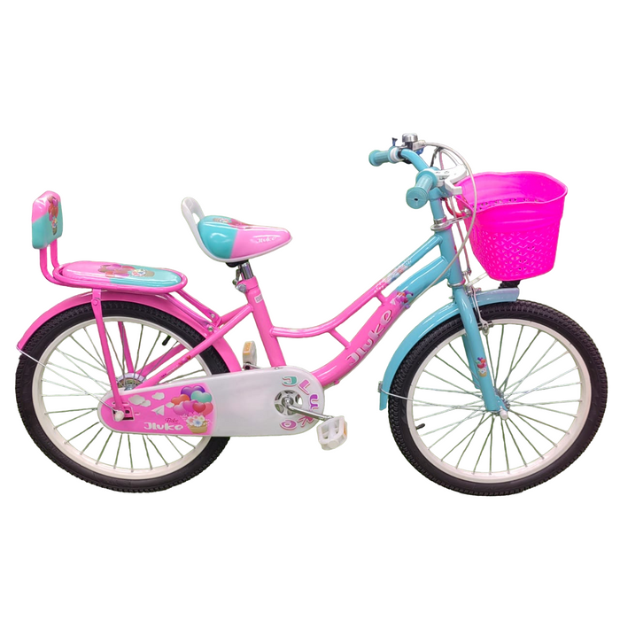 Galaxy BMX 20 inch Bicycle girls full house