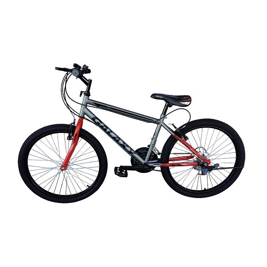 Galaxy 24 inch mountain bike