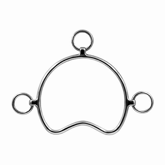 Bit anti &ndash; rearing bit