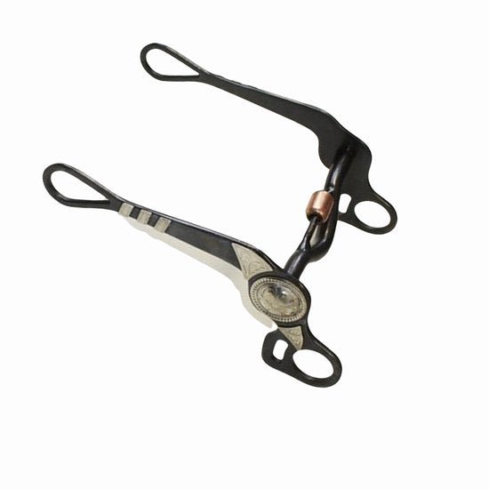 Bit western show bit