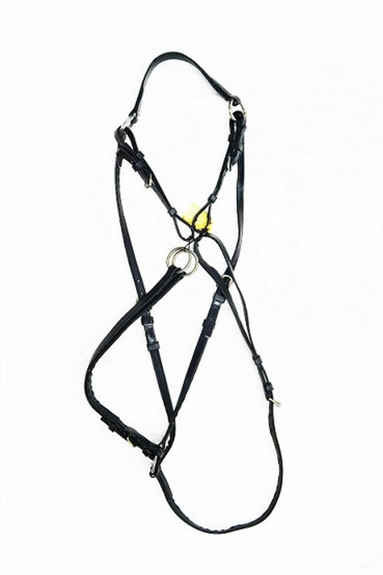 Breastplate endurance vcws