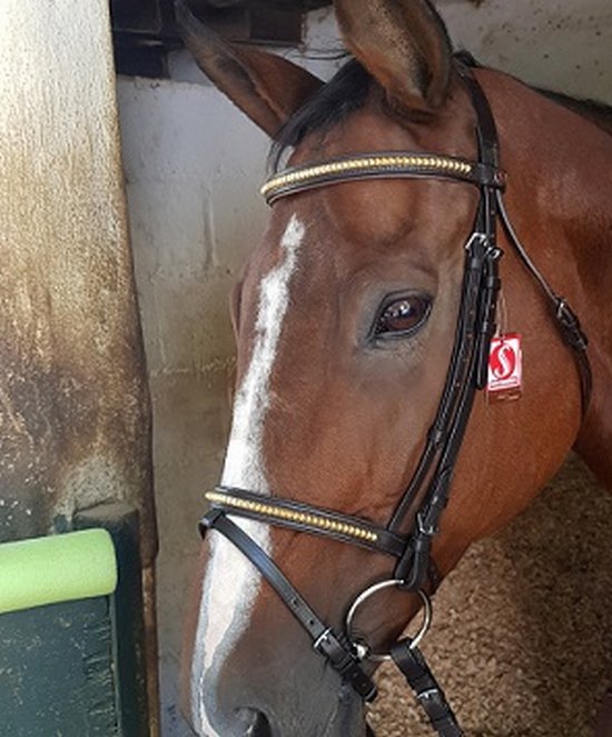 Bridle clincher brass solo