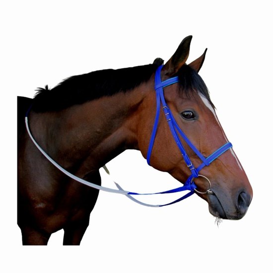 Bridle Biothane Caveson Noseband + Reins Solo