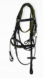Bridle shetland pony