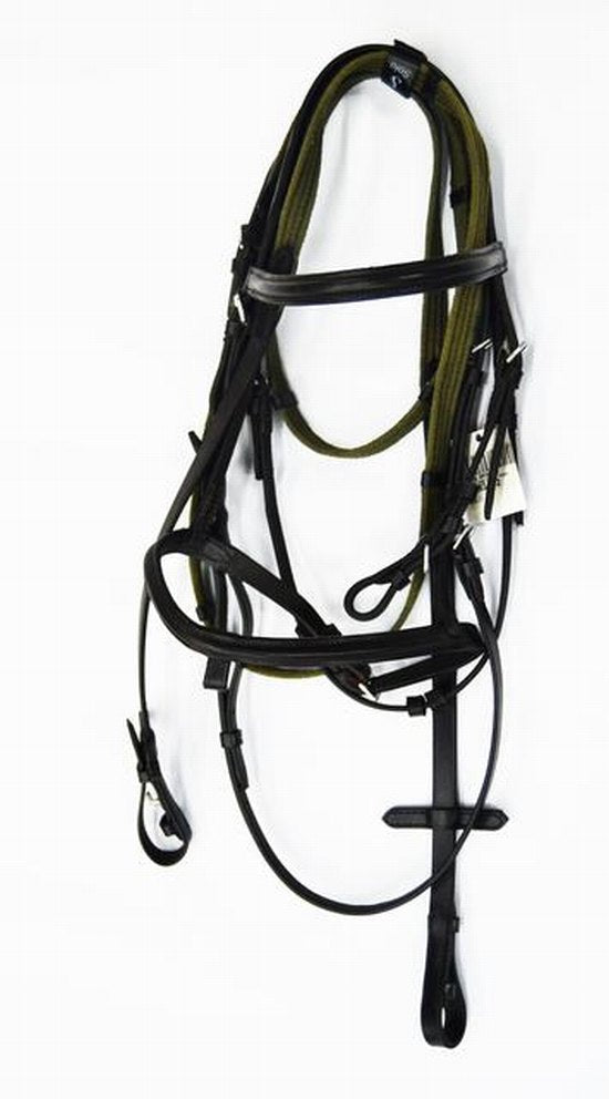 Bridle shetland pony