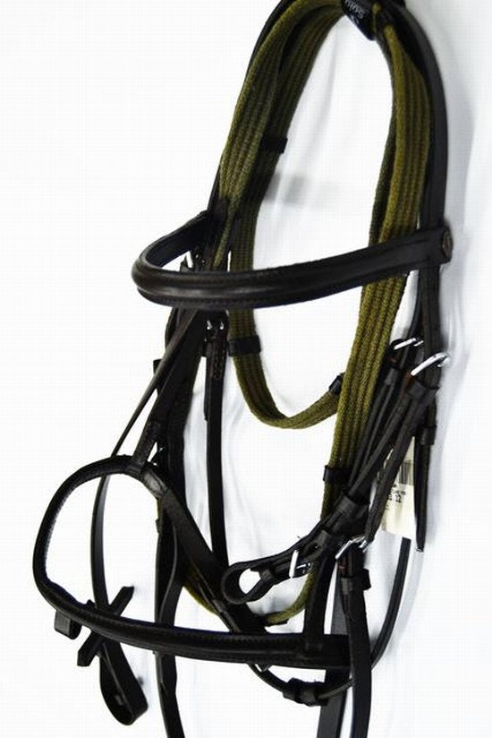 Bridle shetland pony