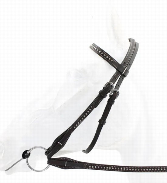 Bridle western 039 with reins 026