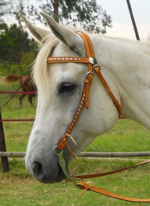 Bridle western silver lace
