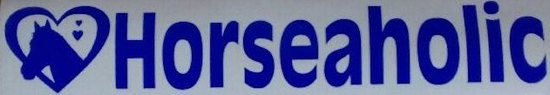 Bumper stickers horseaholic
