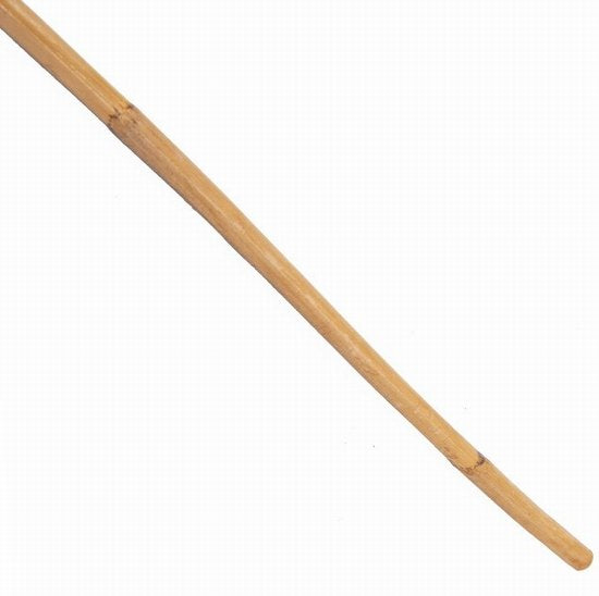 Cane wooden showing
