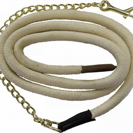 Chain + hook only heavy duty