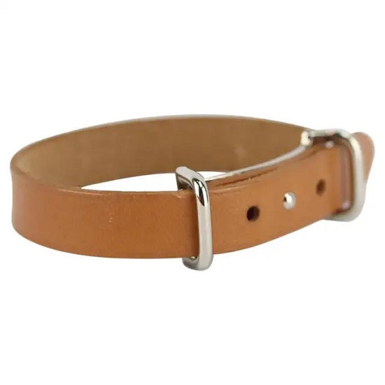 Dog collar 25cm h/brand