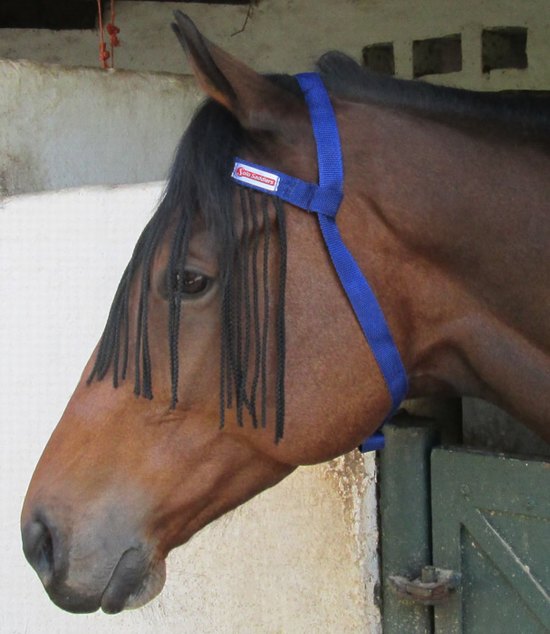 Fly fringe string cord