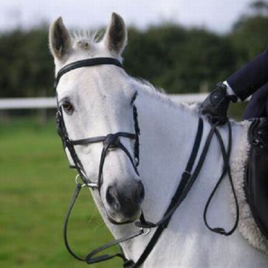 Grackle noseband pvc