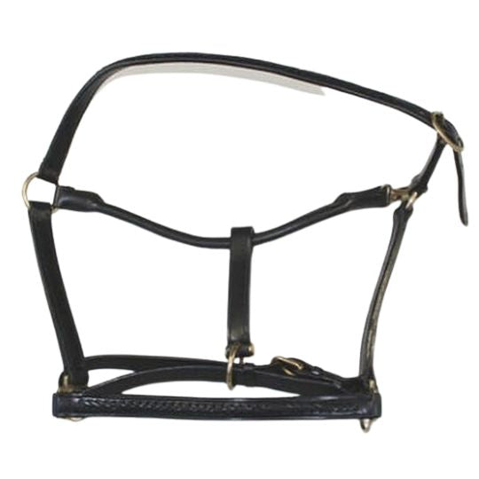 Halter braided leather indian