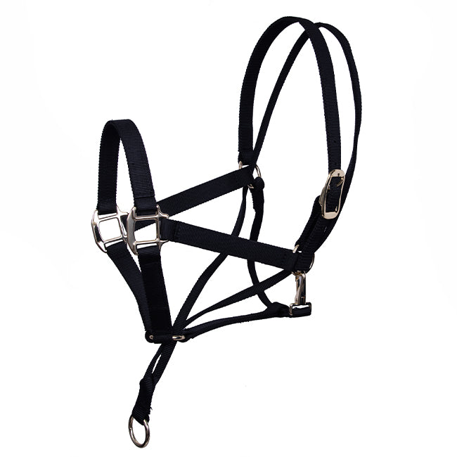 Halter controll black colour