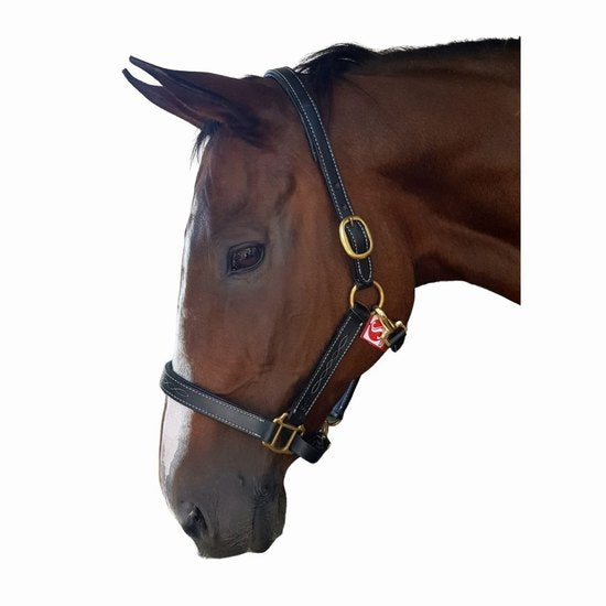 Halter english padded poll