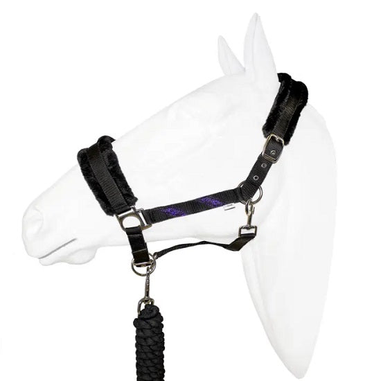Halter equistyle galaxy with lead
