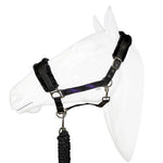 Halter equistyle galaxy with lead