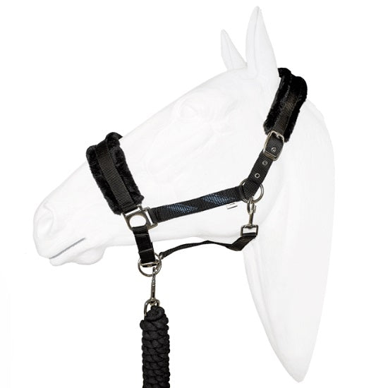 Halter equistyle galaxy with lead