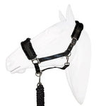 Halter equistyle galaxy with lead