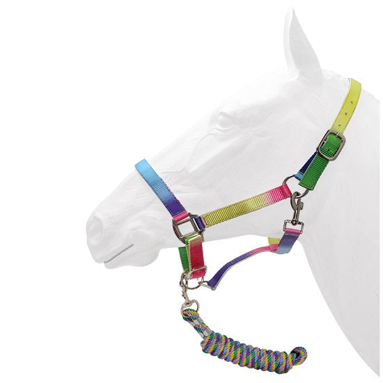 Halter equistyle rainbow with lead