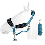 Halter equistyle stellar with lead