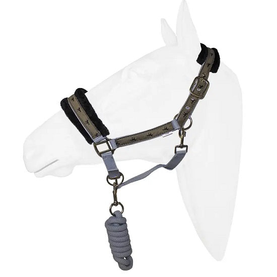 Halter equistyle victory with lead
