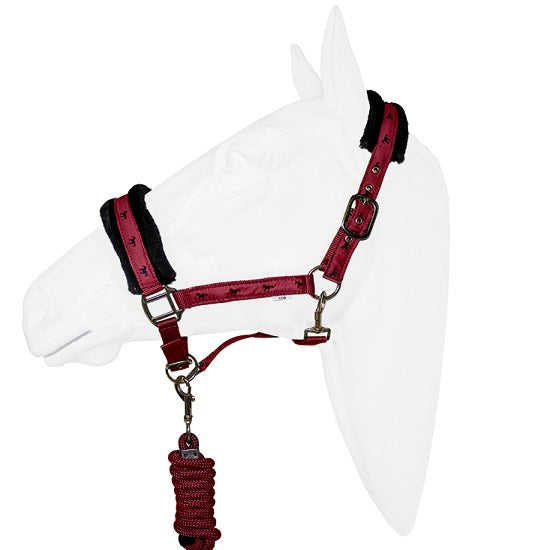 Halter equistyle victory with lead