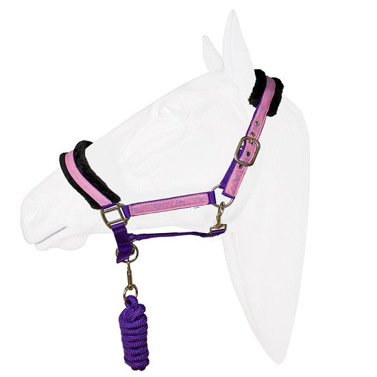 Halter equistyle victory with lead