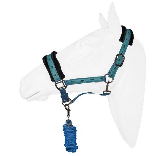 Halter equistyle victory with lead