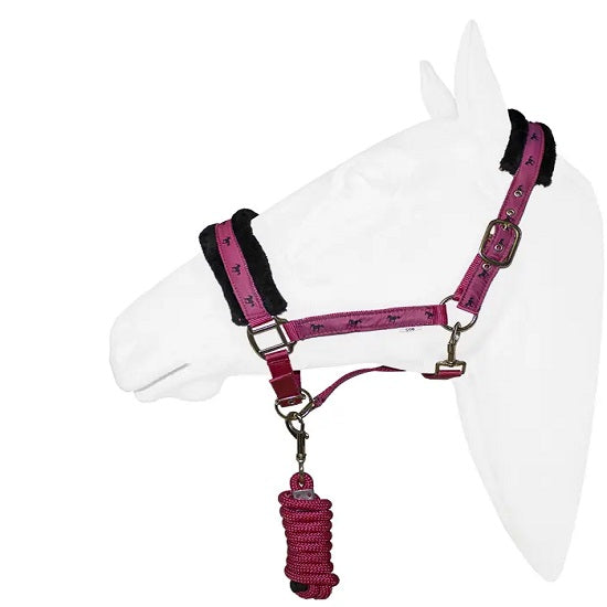 Halter equistyle victory with lead